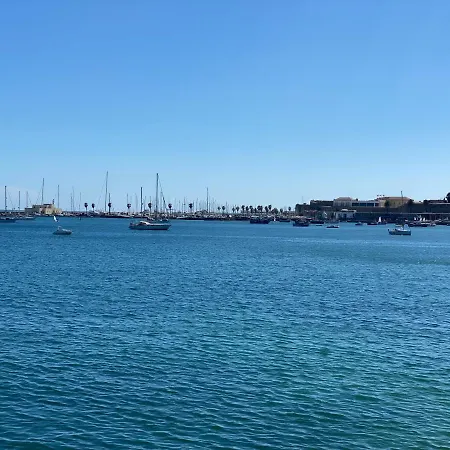 Gandarinha Junto Ao Mar